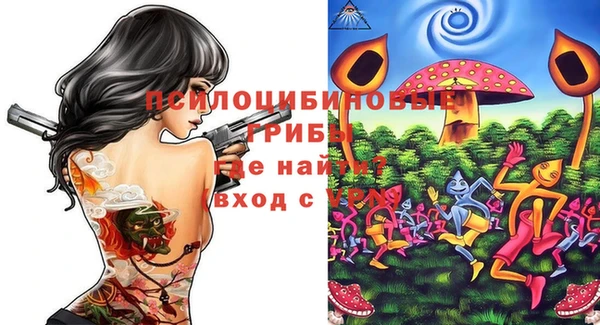 мдпв Каменск-Шахтинский