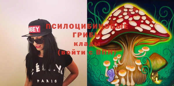 мдпв Каменск-Шахтинский