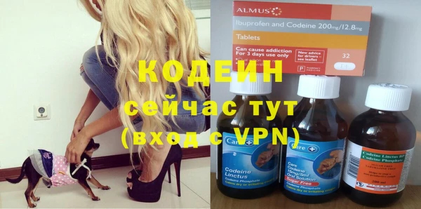 ALPHA PVP Каменка