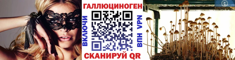 Псилоцибиновые грибы Psilocybine cubensis  Купить где  Игра 