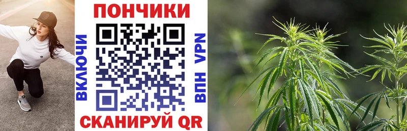 Бошки Шишки планчик  Купить  Игра 